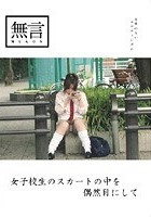 女子校生のスカートの中を偶然目にして