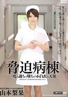 脅迫病棟 一度の過ちで墜ちてゆく白衣の天使 山本梨果