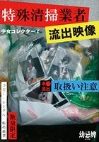 少女コレクター 2特殊清掃業者流出映像