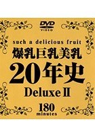 爆乳巨乳美乳20年史 Deluxe 2