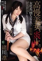 高慢美女、炎上。女社長、堕ちるまで… 特別編 緒川凛