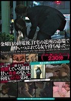 無言作品集33 金曜日の終電後、自宅の近所の道端で酔いつぶれてる女を持ち帰って…