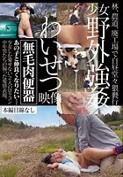 少女野外強姦わいせつ映像