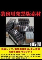 業務用発禁版素材