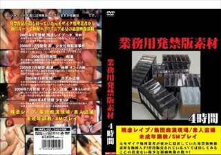 業務用発禁版素材