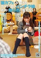 猫カフェでみつけたガードの甘いパンチラ娘は店内で触られても断れない