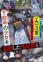 下校中の少女を盗撮した性犯罪映像