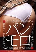 パンモロ 2 パンツを完璧に堪能できるポーズ·アングルを考え抜き余計なものを徹底排除したパンツ好き必見のモロ映像