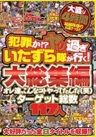 犯罪か！？ヤリ過ぎいたずら隊が行く！！大総集編 オレ達、こんなコトやってたんだ（笑）