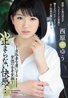 止まらない快感… ～貞淑妻を虜にする背徳の全身愛撫～ 西原ゆう