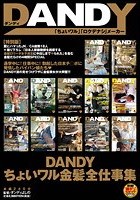 DANDYちょいワル金髪全仕事集