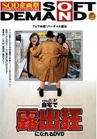 自宅で露出狂になれるDVD