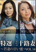 特撰三十路妻 若妻の甘い蜜 Vol.14