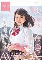 1番可愛くて1番えっち 春風（はるかぜ）あゆ 19歳 1本限定出演 SOD独占AVデビュー