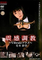 震感調教 ～vibrateアクメ～ 有本紗世