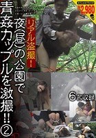 リアル盗撮！夜（昼）の公園で青姦カップルを激撮！！ 2