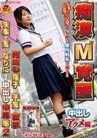 痴漢‘M’覚醒 中出しアクメ編 何回も精子が子宮に直撃する快楽で言いなりになる中出し中毒娘2