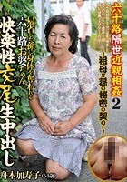 六十路隔世近親相姦2～祖母と孫の秘密の契り～ 帰省した孫に身体を奪われる六十路お婆ちゃん快楽性交尾生中出し 舟木加寿子