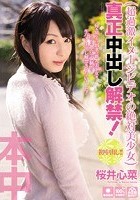 超過激イメージビデオの絶対美少女 真正中出し解禁！ 桜井心菜