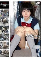 未成年（二六三）カラダの価格 少女と青い性 53