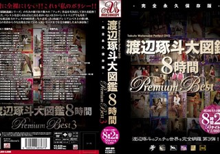 AVSP-005 渡辺琢斗大図鑑 8時間 Premium Best 3