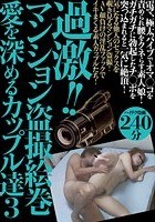 過激！！マンション盗撮絵巻 愛を深めるカップル達 3