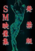 発禁版 SM映像集