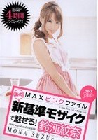 MAX ピンクファイル あの新基準モザイクで魅せる！ 鈴江紋奈