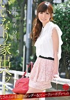 いいなり家出ペット 野村萌香