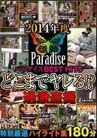 2014年度 パラダイスBEST HITS どこまでヤレる！？ 過激盗撮特別厳選ハイライト集180分