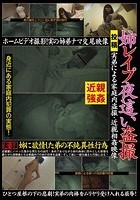 姉レイプ 夜這い盗撮