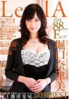 永久保存盤 美熟女LevelAセレクション 堀口奈津美 極上激淫交尾3時間BEST