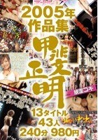 甲斐正明2005年作品集 13タイトル43人