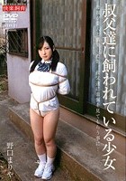 叔父達に飼われている少女 野口まりや