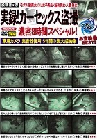 投稿者 忍 実録！カーセックス盗撮 濃密8時間スペシャル！ 軍用カメラ 集音器使用 5年間の集大成映像