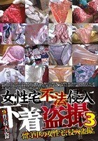 女性宅不法侵入 下着盗撮 3