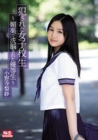 犯された女子校生～媚薬で洗脳された優等生～ 小野寺梨紗