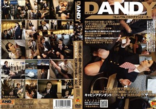 DANDY-202 「こんな場所で射精したい！長距離フライトの消灯時間にコソコソせんずりをキャビンアテンダントだけに見せつけたら優しくヤられた」 VOL.2