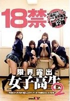 18禁 限界露出女子校生 2 ～平成生まれの、乳首·お●んこのギリギリまで全部見えちゃう！？の巻～