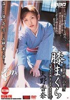 膝まくら 「官能的癒しの世界」 大野香奈