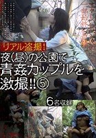 リアル盗撮！夜（昼）の公園で青姦カップルを激撮！！ 5