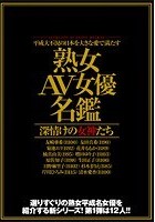 平成大不況の日本を大きな愛で満たす 「熟女AV女優名鑑」 深情けの女神たち